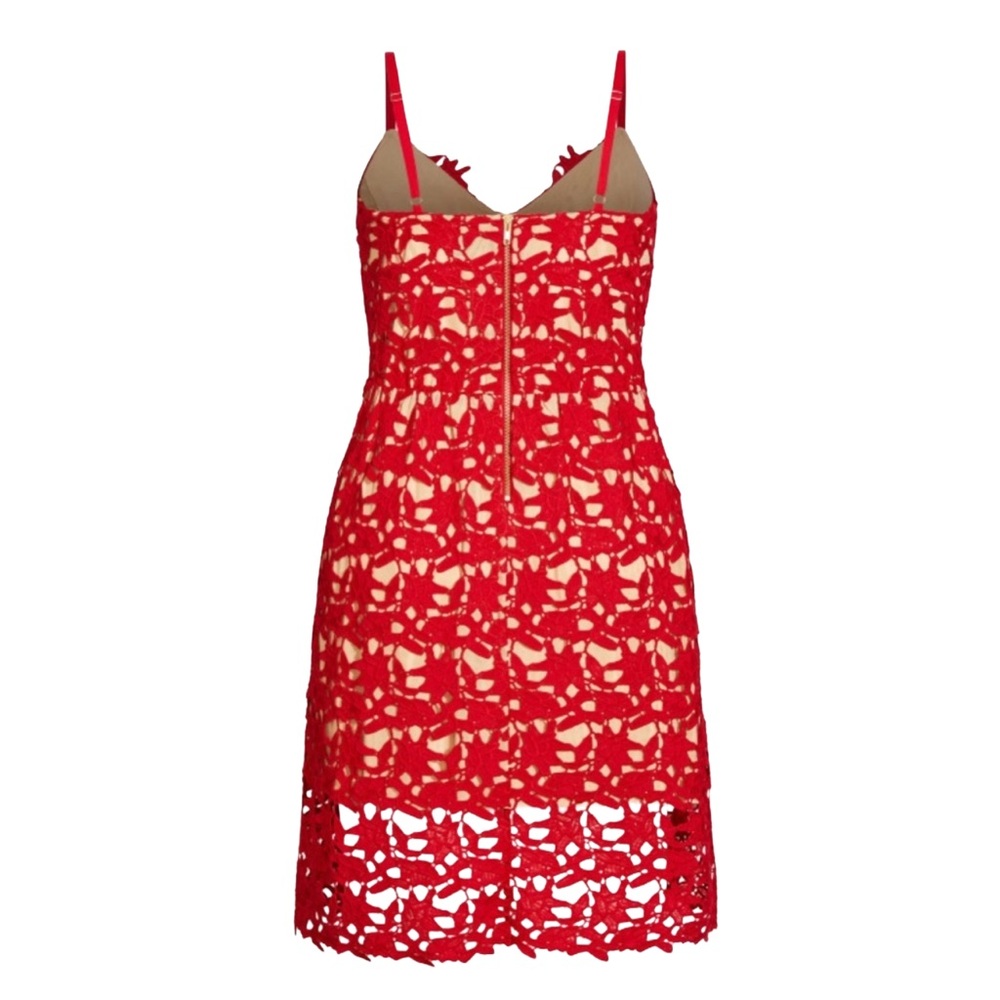 CITY CHIC SO FANCY LACE, FIT AND FLARE DRESS - RED SIZE 20 (NEW WITH TAGS) A20 - Picture 4 of 7